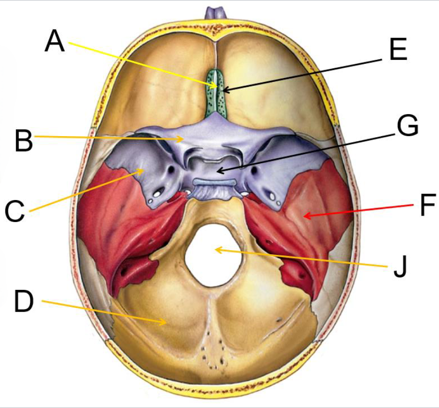 <p>What is C?</p>