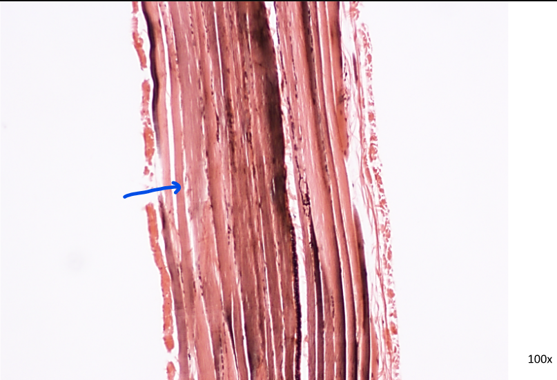 <p>What is this?</p>