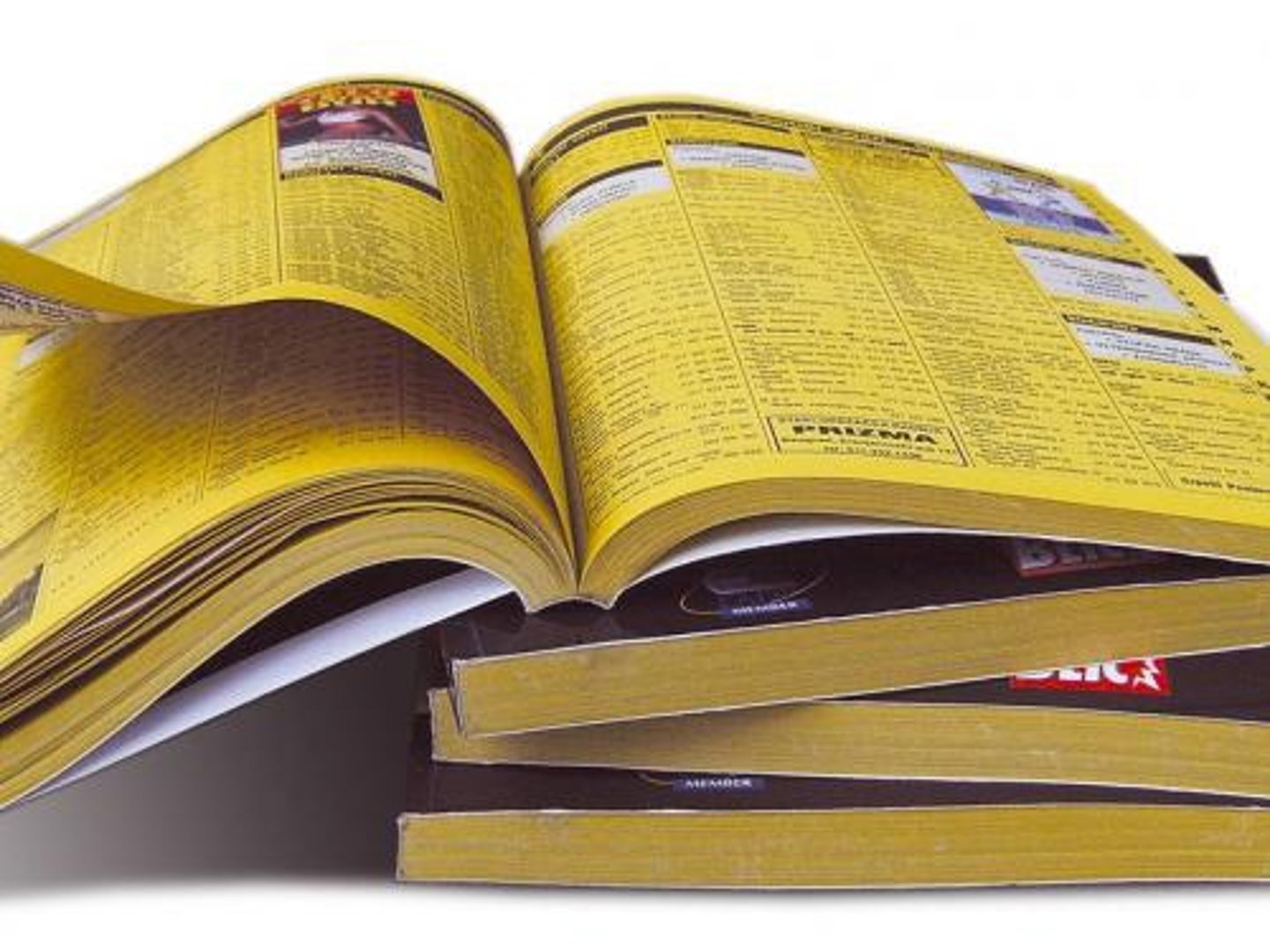 <p>yellow pages</p>