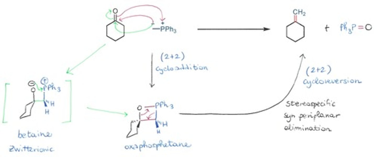 <p>Olefination (turning something into an alkene) mediated by an alpha-phosphorus carbanion.</p>