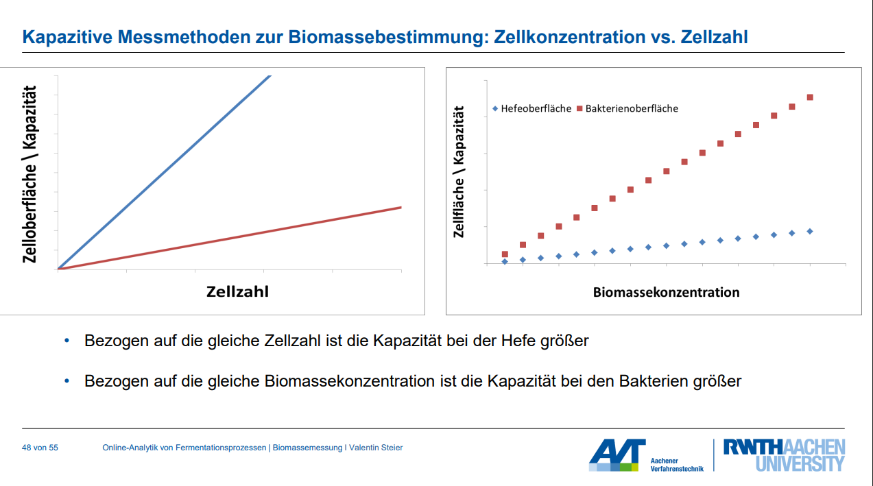 <p><strong>Unterschied E. coli und Hefe:</strong></p><p>&nbsp;&nbsp;&nbsp;&nbsp;◦ <strong>E. coli</strong> zeigt eine <strong>höhere Kapazität pro Biomassekonzentration</strong> im Vergleich zu Hefe. Dies ist das scheinbar widersprüchliche Ergebnis im Vergleich zur Zellzahlbetrachtung, das sich jedoch logisch erklären lässt:</p><p>&nbsp;&nbsp;&nbsp;&nbsp;&nbsp;&nbsp;&nbsp;&nbsp;<span data-name="black_small_square" data-type="emoji">▪</span> Um die gleiche Biomasse (Masse) zu erreichen, benötigt man eine <strong>viel höhere Anzahl</strong> ($N$) kleinerer E. coli-Zellen als größerer Hefezellen.</p><p>&nbsp;&nbsp;&nbsp;&nbsp;&nbsp;&nbsp;&nbsp;&nbsp;<span data-name="black_small_square" data-type="emoji">▪</span> Obwohl die einzelnen E. coli-Zellen einen kleineren Radius $(r)$ haben, führt die <strong>erheblich höhere Anzahl an Zellen</strong> ($N$) pro Masseeinheit dazu, dass die gesamte Membranfläche und somit die gemessene Gesamtkapazität für E. coli höher ist als für Hefe bei gleicher Biomassekonzentration. Die Kapazität wird maßgeblich von der Anzahl der vorhandenen Zellen und deren Membranen beeinflusst.</p><p><em>(Stellen Sie sich wieder zwei Geraden durch den Ursprung vor. Diesmal hätte die Gerade für E. coli eine steilere Steigung als die für Hefe.)</em></p><p><strong>Warum gibt es einen Unterschied?</strong></p><p>Der Hauptgrund für den Unterschied im Zusammenhang zwischen Kapazität und Zellzahl bzw. Kapazität und Biomasse liegt in der <strong>Größe der Zellen</strong> und der <strong>unterschiedlichen Abhängigkeit der Kapazität von Zellzahl versus Zellmasse</strong>.</p><p>• <strong>Zellgröße:</strong> Hefezellen sind deutlich größer als E. coli-Zellen.</p><p>• <strong>Kapazität pro Zelle (abhängig von Zellradius):</strong> Die Formel $\Delta C \sim N \cdot r^4 \cdot C_m$ zeigt, dass die Kapazität stark vom Zellradius ($r^4$) abhängt. Daher trägt jede einzelne größere Hefezelle proportional mehr zur Kapazität bei als eine einzelne E. coli-Zelle. Dies erklärt die höhere Kapazität der Hefe bei gleicher <em>Zellzahl</em>.</p><p>• <strong>Kapazität pro Biomasse (abhängig von Zellzahl und Zellgröße):</strong> Wenn man die <em>gleiche Masse</em> an Biomasse betrachtet, sind aufgrund der kleineren Einzelzellgröße <strong>viel mehr E. coli-Zellen</strong> vorhanden als Hefezellen. Die Kapazitätsmessung reagiert auf die Gesamtheit der isolierenden Membranflächen. Obwohl jede einzelne E. coli-Zelle eine geringere Kapazität aufweist, überwiegt die <strong>deutlich höhere Anzahl an Zellen</strong> bei gleicher Biomassemasse den Effekt des kleineren Einzelzellradius. Dies führt dazu, dass die Gesamt-Kapazität bei E. coli pro Biomassemasse höher ist als bei Hefe.</p><p>Zusammenfassend lässt sich sagen, dass die <strong>Zellgröße</strong> der bestimmende Faktor für die unterschiedlichen Korrelationen zwischen Kapazität und Zellzahl bzw. Kapazität und Biomassemasse bei E. coli und Hefe ist.</p>