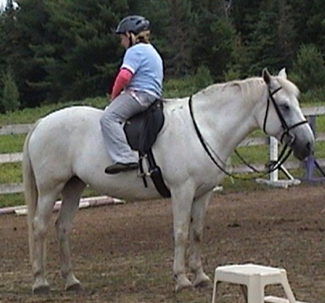 <p>tolat</p>