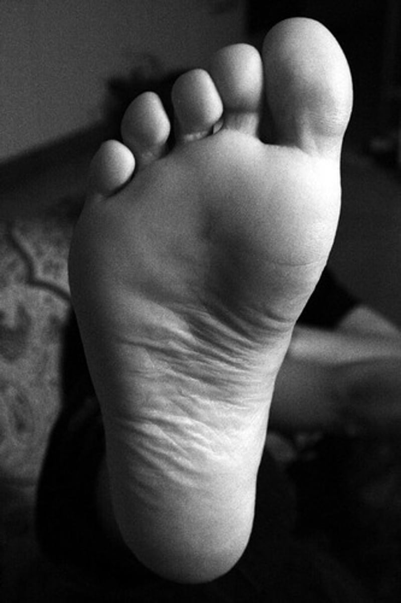 <p>feet</p>