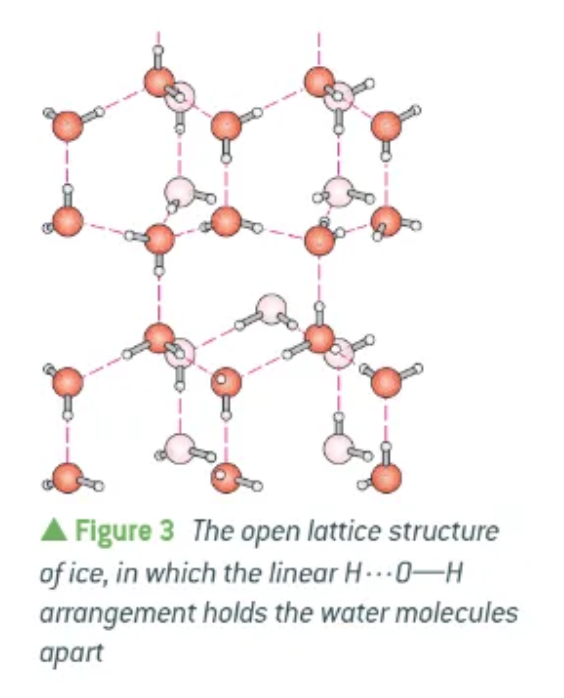 <ul><li><p>Hydrogen bonds hold water molecules apart in an open lattice structure</p></li><li><p>The water molecules in ice are held further apart than in water.</p></li><li><p>Solid ice is less dense than liquid water and floats.</p></li></ul><p></p>