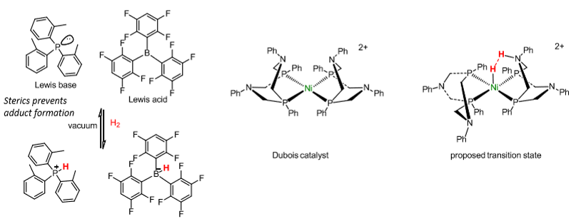 <p>Frustrated lewis pairs - compounds which contain a lewis acid and base that cannot combine to form an adduct.</p>