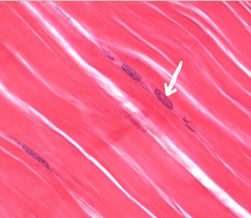 <p>What is this?</p>