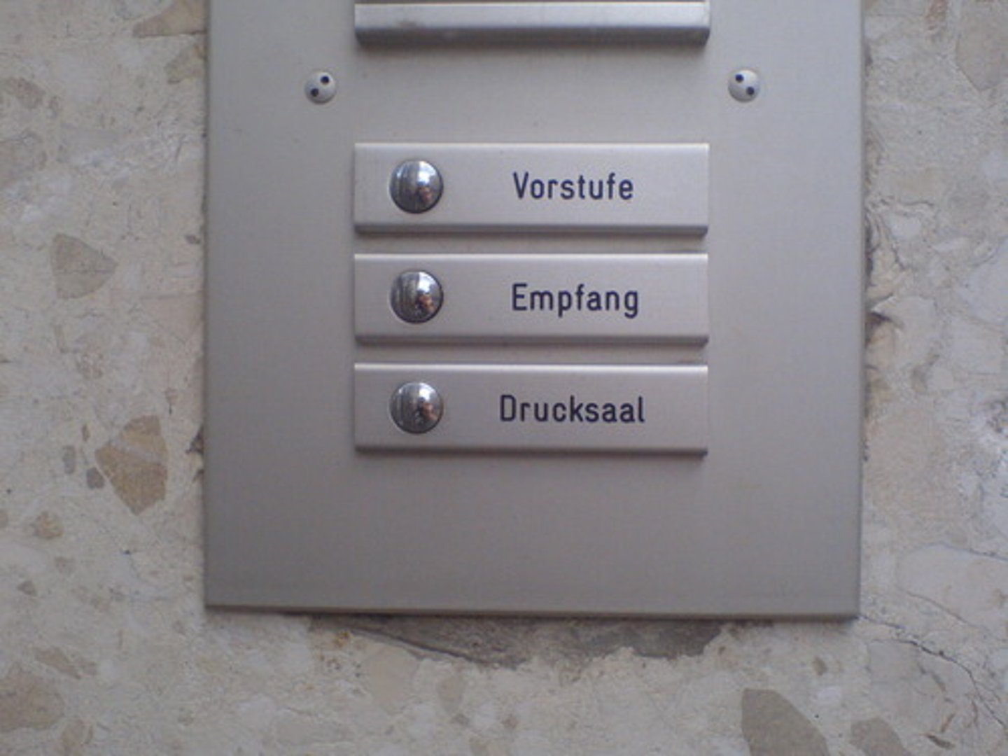 <p>the doorbell</p>