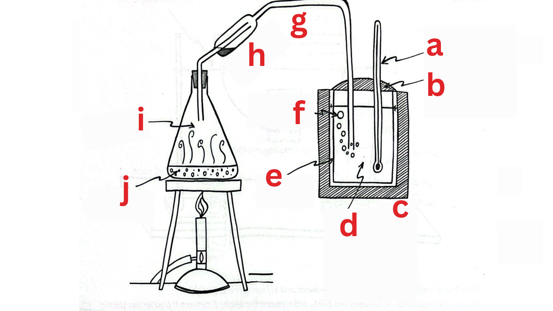 <p><span style="color: rgb(0, 0, 0);"><span>Label This Diagram</span></span></p>