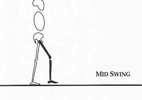 hip flexing to 35º flexion
-thigh to 25º