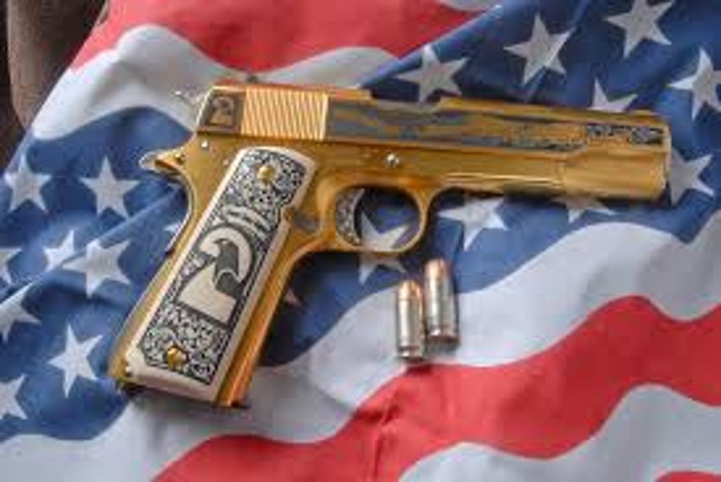 <p>Right to bear arms</p>