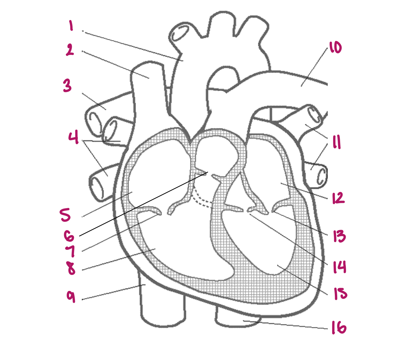 <p>Label figure 14.</p>