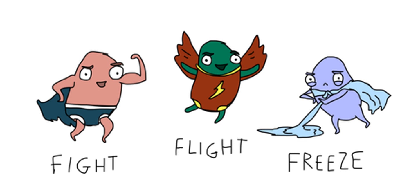 <p>an involuntary, physical response to a sudden and immediate stressor that results in fight (facing a threat aggressively), flight (fleeing danger), or freeze (inability to move or act against a threat)</p>