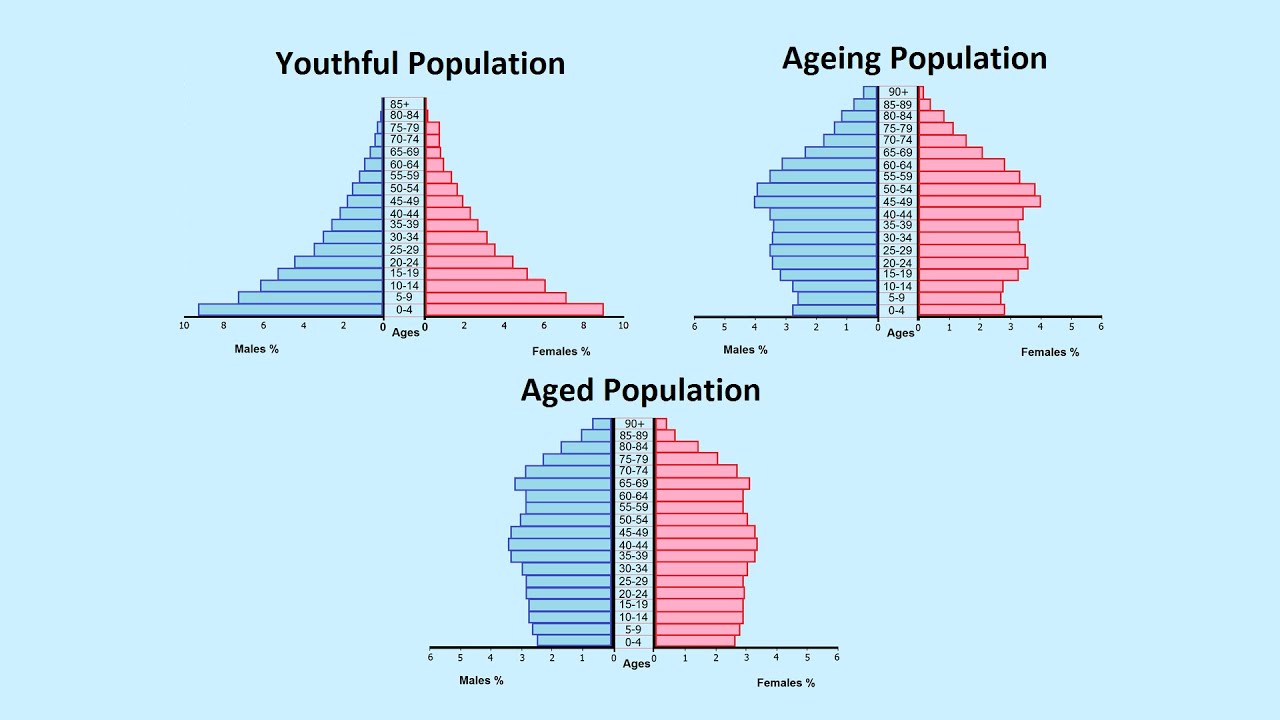 <p>Used to show demographic patterns in a population using sex and age.</p>