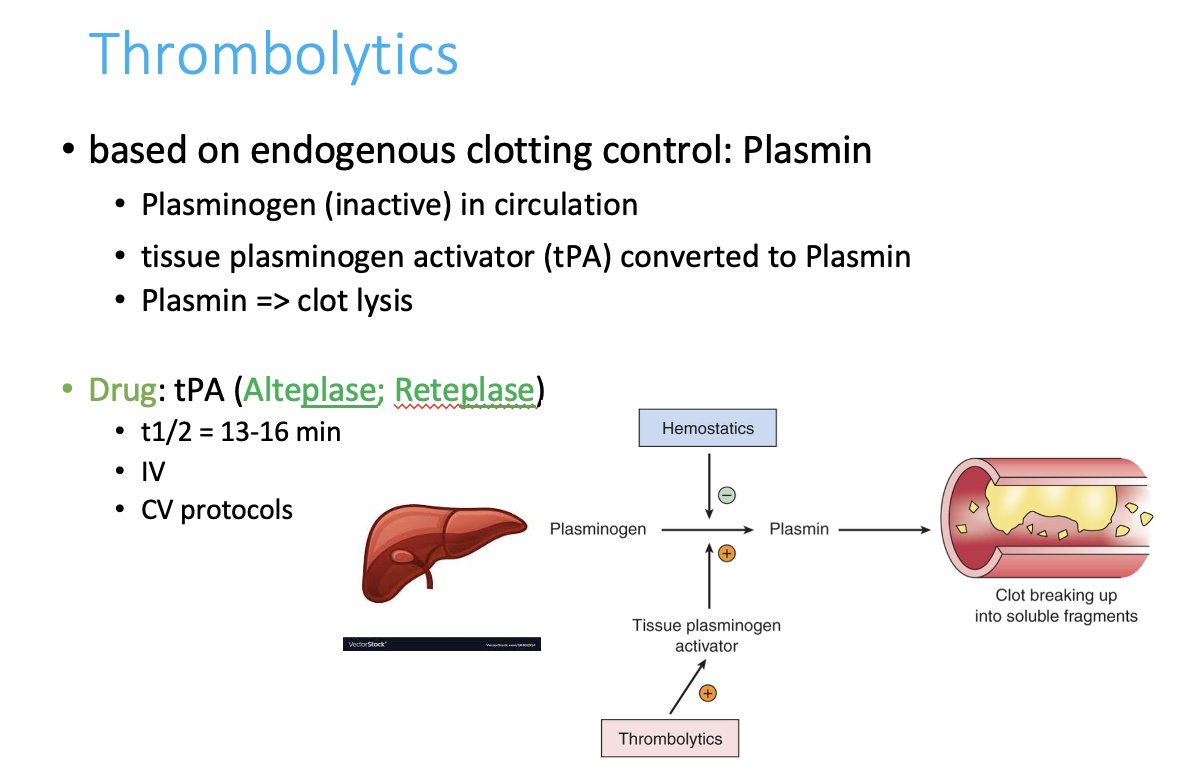 <p> <span style="color: green;"><strong>Alteplase (tPA)</strong> and <strong>Reteplase</strong> </span></p><p>are <strong>synthetic forms of tPA</strong>.</p><p><br>They <strong>mimic your body’s natural tPA</strong>, rapidly activating plasminogen → plasmin → <strong>fibrin breakdown</strong>.</p><p></p><p><u>Given </u><strong><u>IV (intravenous)</u></strong></p><ul><li><p><strong>Very short half-life</strong>: 13–16 minutes</p></li><li><p>Used in <strong>CV emergencies</strong>, such as:</p><ul><li><p><strong>Ischemic stroke (CVA)</strong></p></li><li><p><strong>Myocardial infarction (MI)</strong></p></li><li><p><strong>Massive pulmonary embolism (PE)</strong></p></li></ul></li></ul><p></p>
