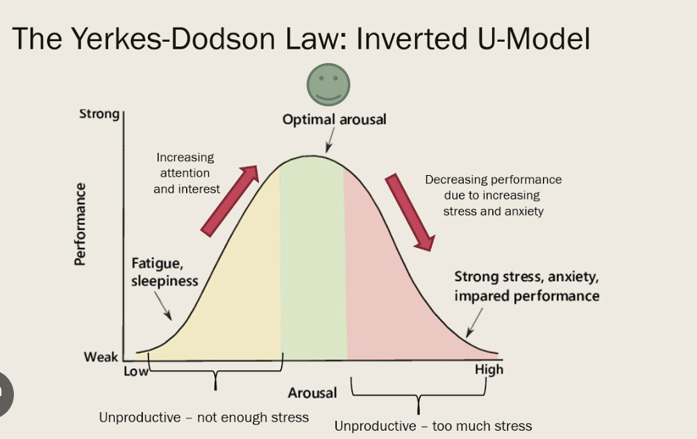 <p>proposes people are motivated to maintain an optimal level of alertness or arousal, not too bored (low arousal) and not too stressed (high arousal)</p>