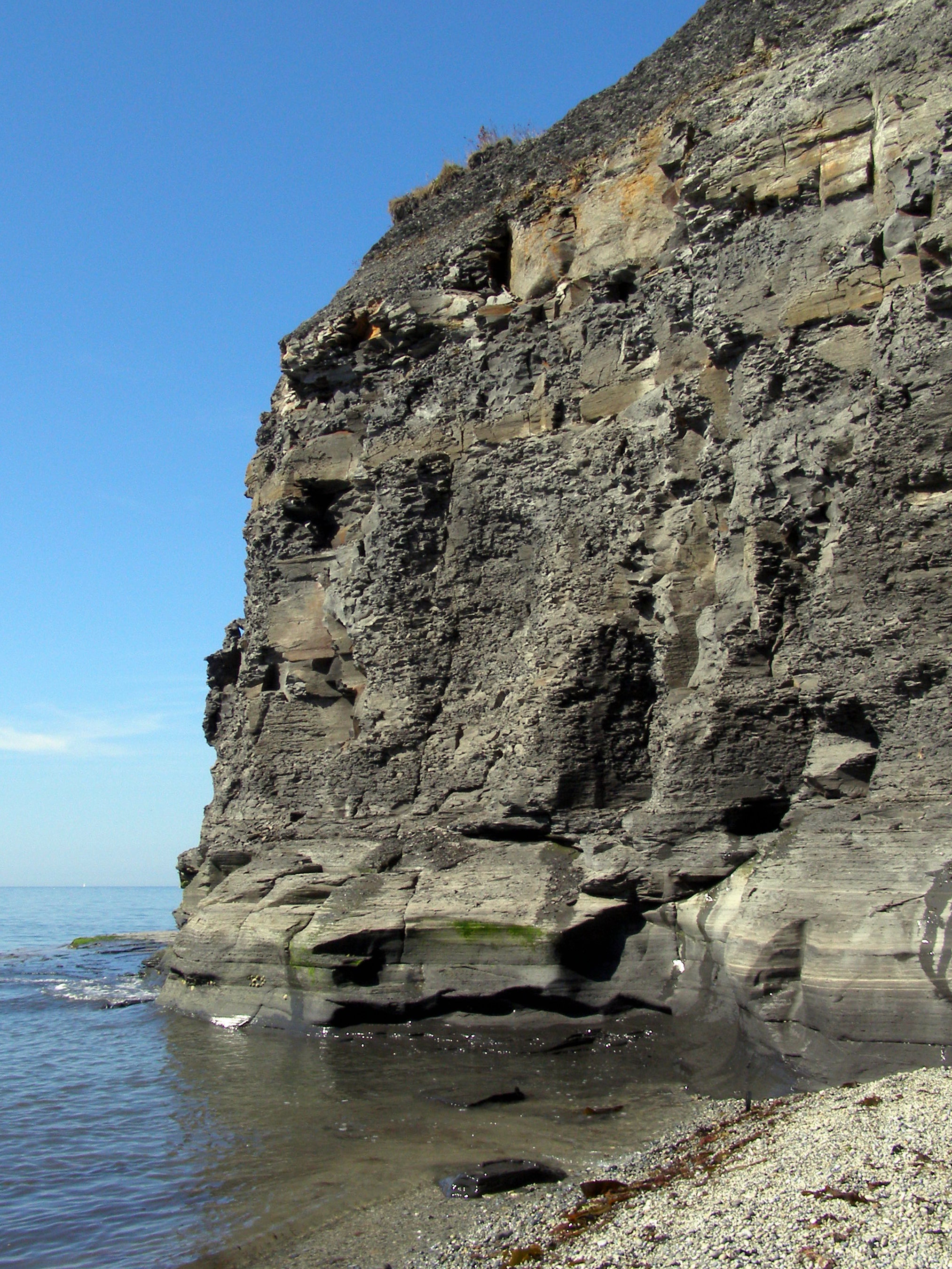 <p>(noun)</p><p>a point of high land that juts out into a  body of water</p><p>Word Associations: Point and Peninsula</p>