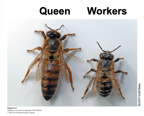 <p>True</p>