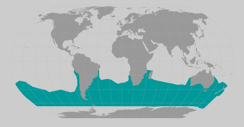 <p>Southern right whale<br>(<em>Eubalaena australis)</em><br>Southern Hemisphere<br>15-18 m<br>right whales have the largest testicles (each 500kg)<br>-broad back without a dorsal fin<br>-long, arched mouth that begins above the eye</p>