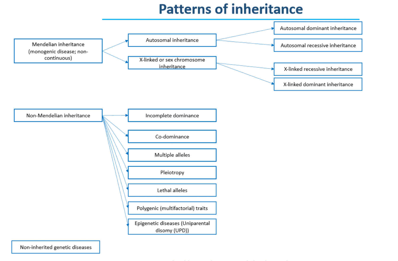 <p>The various ways in which traits and genetic disorders are passed from parents to offspring, which can be categorized as Mendelian (simple dominance and recessiveness) or non-Mendelian (incomplete dominance, codominance, etc.).</p>