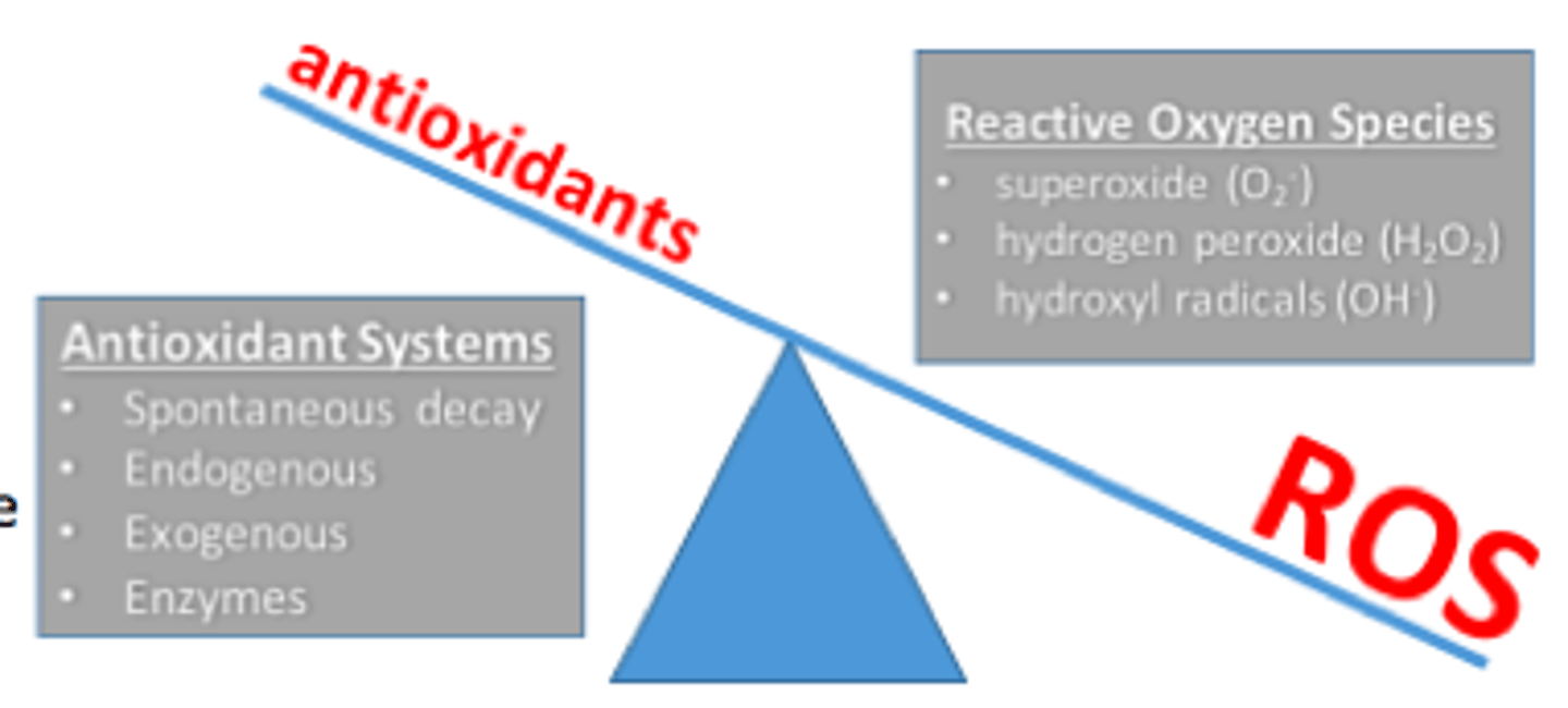 <p>- ROS = reactive oxygen species</p><p>- unstable 'O2' (eg. OH, H2O2)</p><p>- natural byproduct of normal respiration &amp; cellular metabolism; chronic = ageing</p><p>- usually balanced by 'antioxidants', high amounts formed in altered cellular metabolism</p>