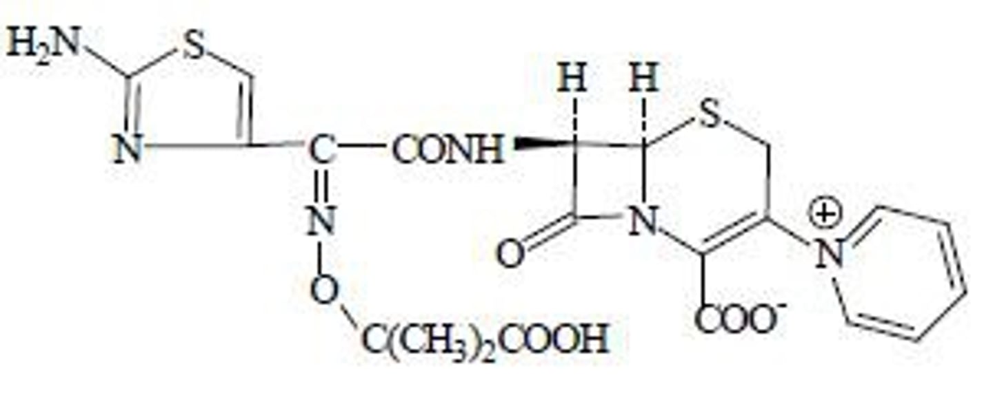 <p>Protonated pyridine</p>