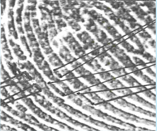 <p>little section of ridge on its own</p>