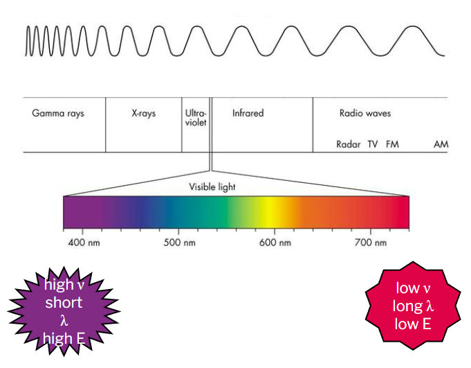 <ul><li><p><span>the <strong>range</strong> of <strong>electromagnetic</strong> <strong>radiation</strong> (electric and magnetic fields) <strong>from</strong> the <strong>sun</strong></span></p></li><li><p><span>the <strong>particles that make up electromagnetic radiation</strong> are referred to as <strong>photons </strong>or “energy packets”; they exhibit particle-wave duality</span></p></li><li><p><span><strong>wavelength</strong> (λ) is the <strong>distance</strong> from <strong>peak</strong> to <strong>peak</strong></span></p></li><li><p><span><strong>frequency</strong> (ν) is the <strong>number</strong> of <strong>waves</strong> that <strong>pass</strong> through a point in a second</span></p></li><li><p><span>increasing frequency from right to left (700nm=low v, long </span>λ, low E<span> to 400nm=high v, short </span>λ, high E<span>)</span></p></li></ul><p></p>