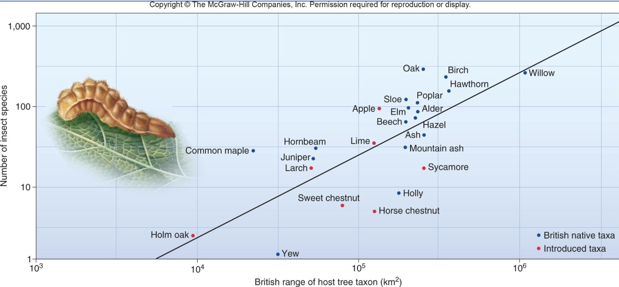<p>Relationship between insect species richness on British trees and area</p><p>Trees with a greater range support more insect species</p>