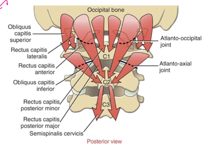 <p>What are the big takeaways from this image?</p>