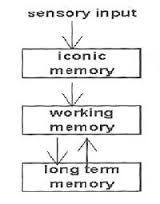 a momentary sensory memory of visual stimuli; a photographic or picture-image memory lasting no more than a few tenths of a second.