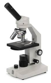 <ol><li><p>ocular (lense)</p></li><li><p>objective (lense) </p></li><li><p>stage </p></li><li><p>condenser </p></li><li><p>focusing knobs </p></li><li><p>light</p></li></ol><p></p>