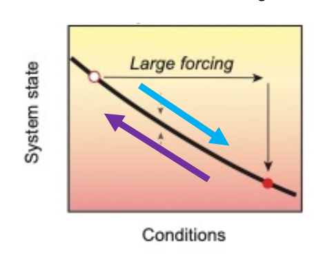 <p>referes to where a system can swing back and forth</p>