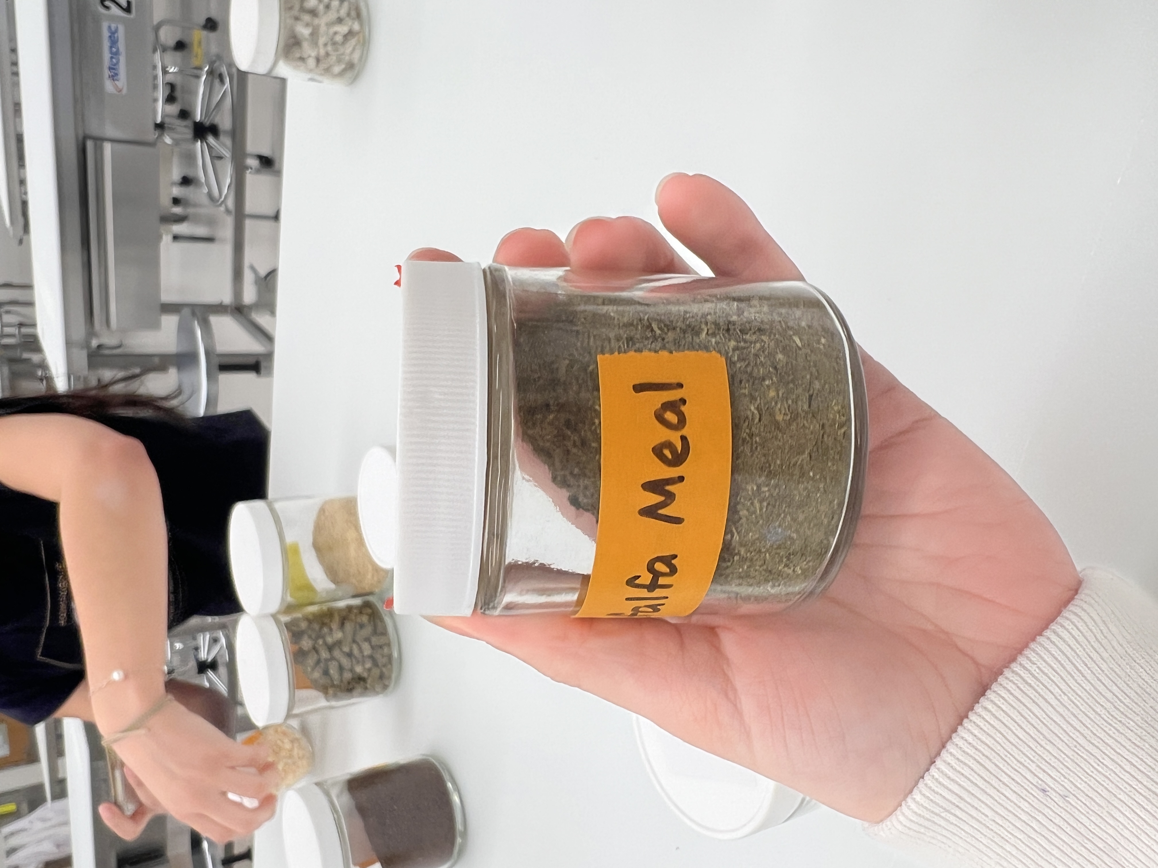 <ul><li><p>IFN # and category: 1 dry roughage</p></li><li><p>AAFCO category: roughage product</p></li><li><p>appearance: brown powder but more green than the fish meal- smells sweet</p></li></ul><p></p>