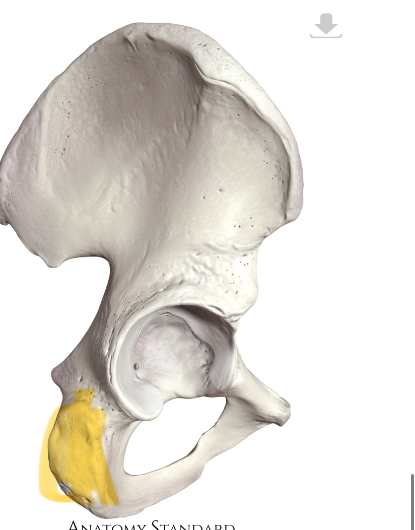 <p>Hoe heet dit deel?</p>