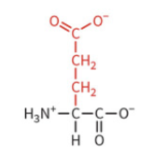 <ul><li><p>polar: negatively charged</p></li><li><p>typically deprotonated at physiological pH</p></li></ul><p></p>