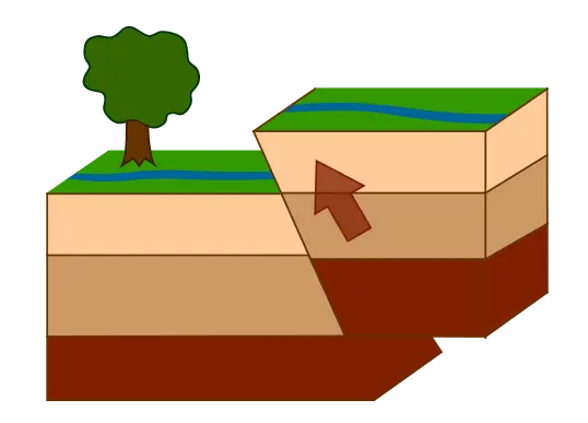 type of fault which the hanging walls moves up relative to the footwall

shortening of the crust occurs