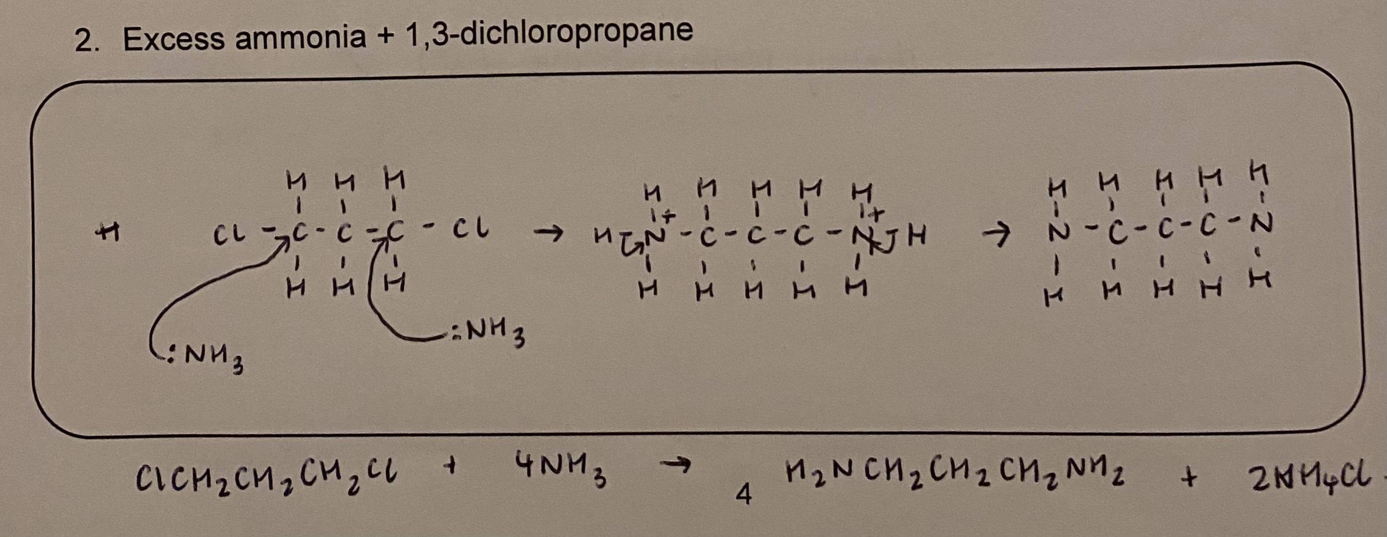knowt flashcard image