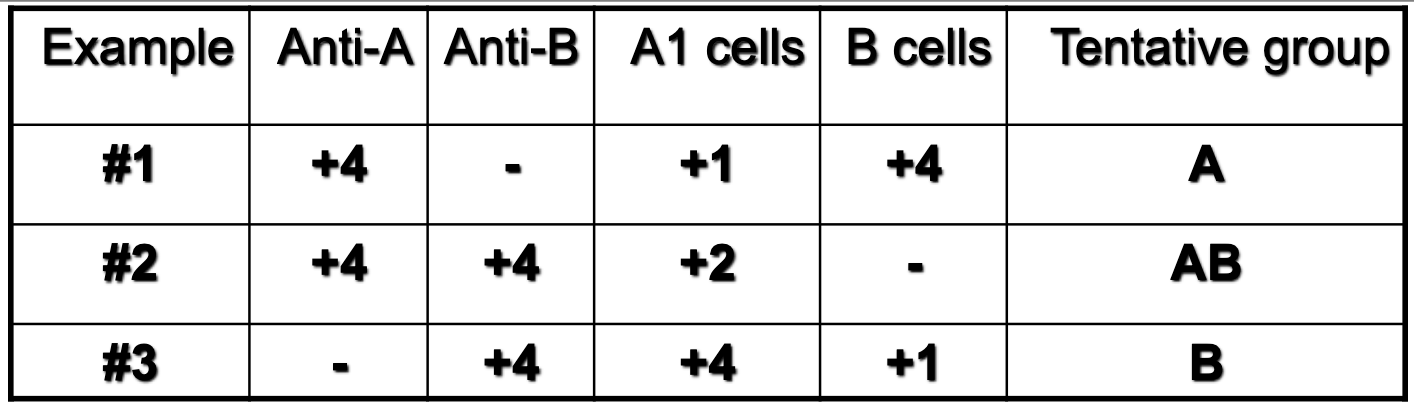 <p>which example depicts auto anti-I?</p>