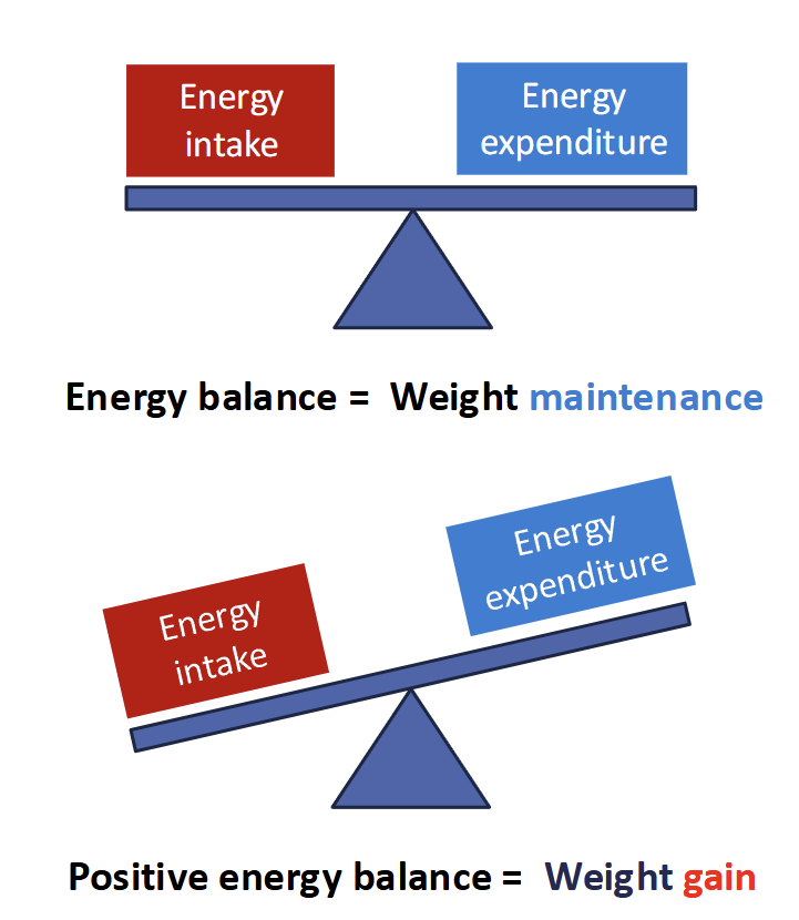 <p>Related to obesity and overweight by calories consumed and calories expended</p><ul><li><p>increase energy dense food (high fat &amp; sugar)</p></li><li><p>increase in physical inactivity (work,transportation,urban)</p></li></ul><p></p>