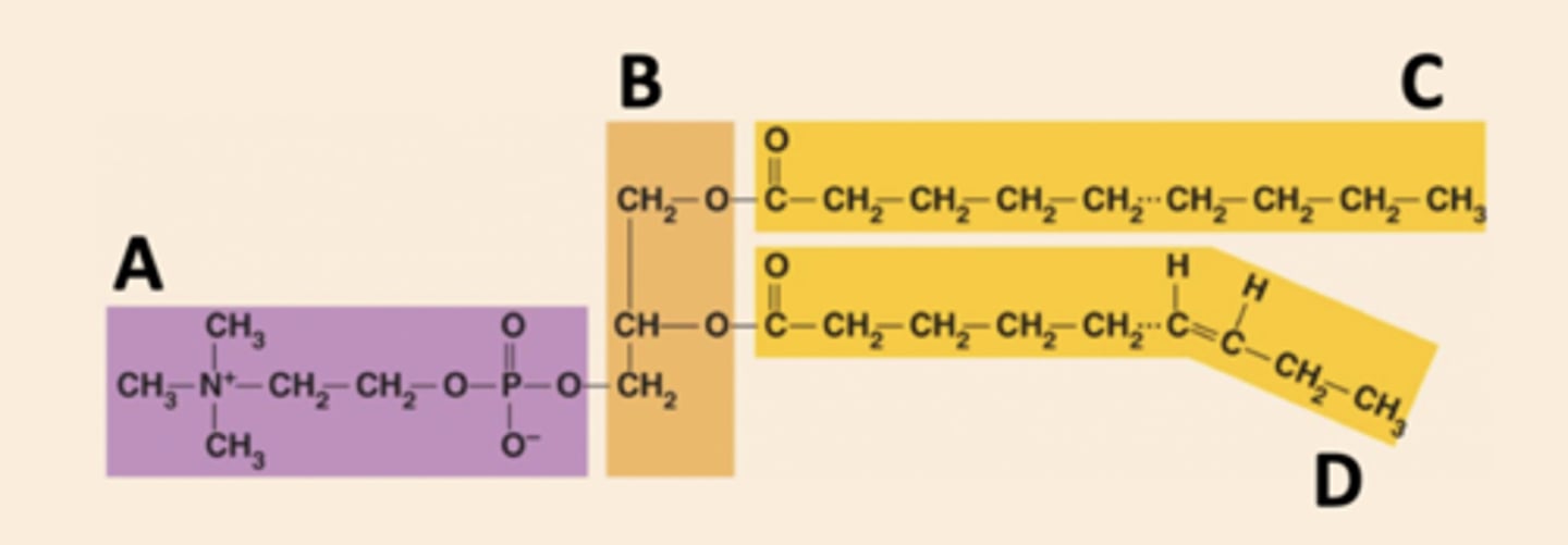 <p>C</p><p>3 multiple choice options</p>