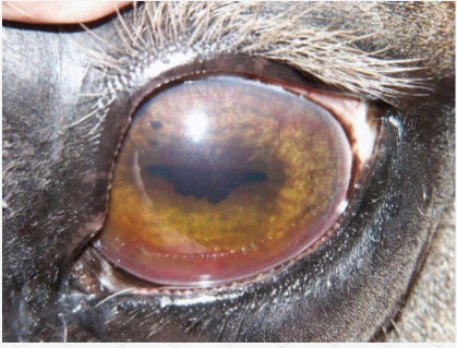 <p>now a challenging one</p>