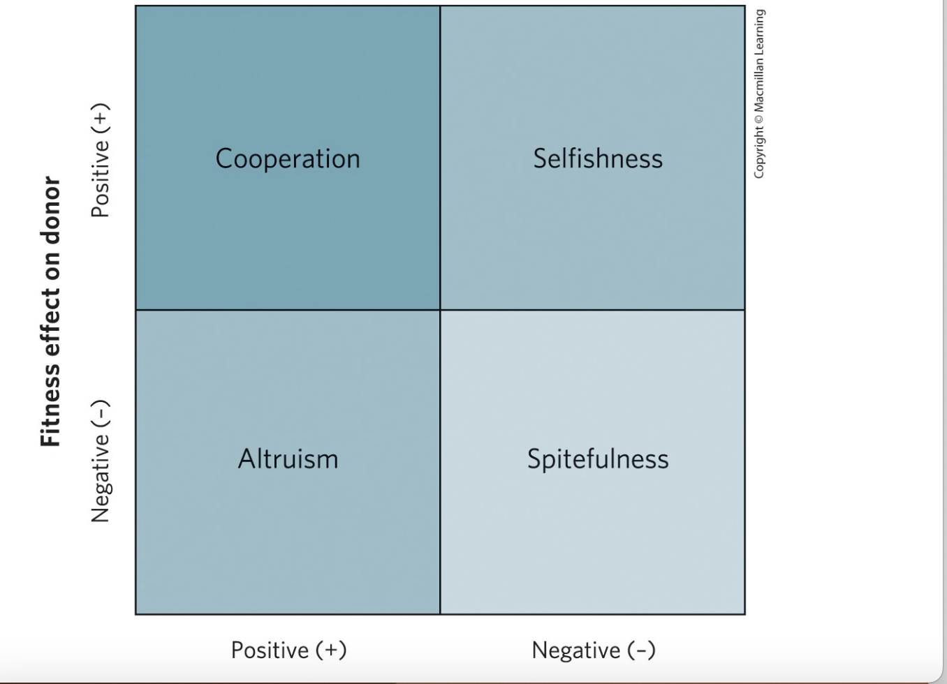 <p>Four types of social interactions?</p>