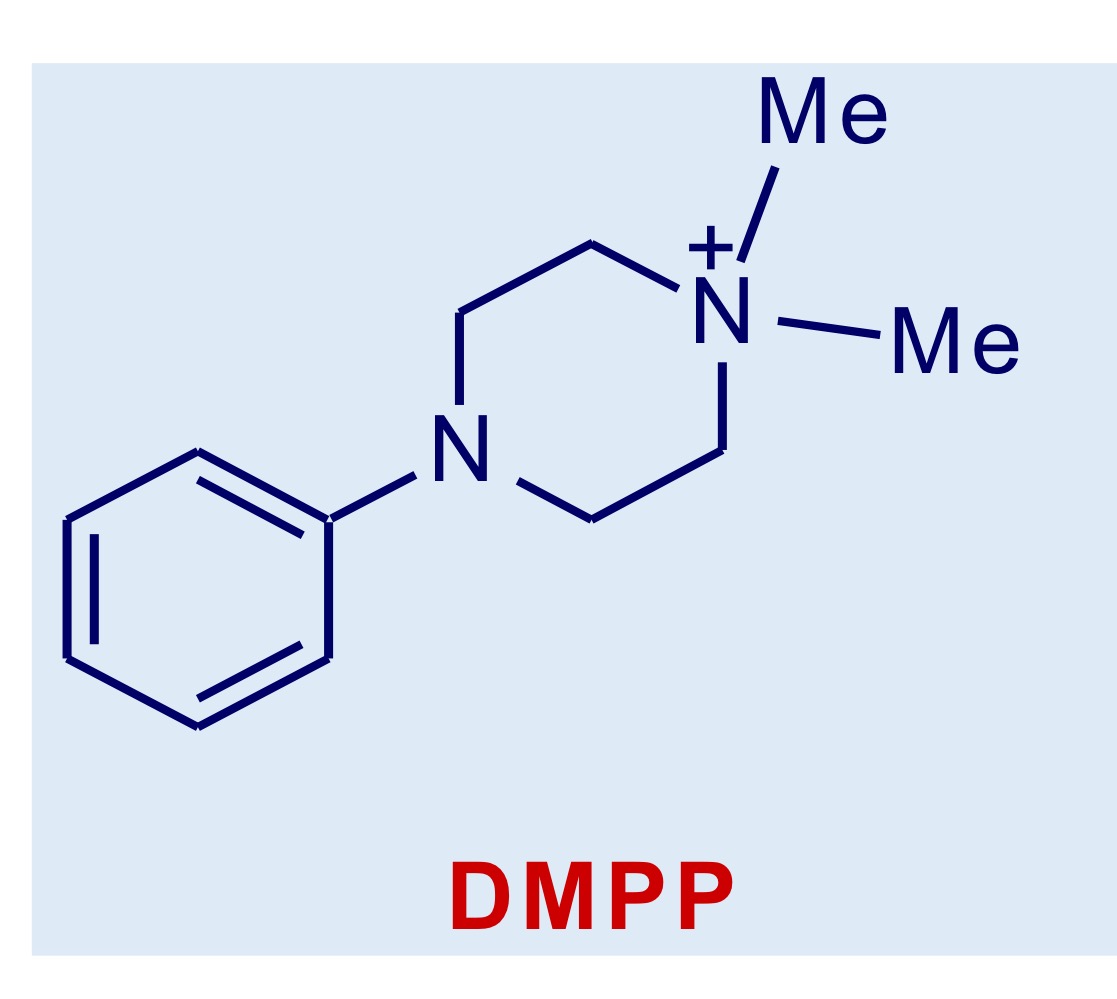 <p>Agonista competitivo dei recettori nicotinici preferenziale dei gangli</p>