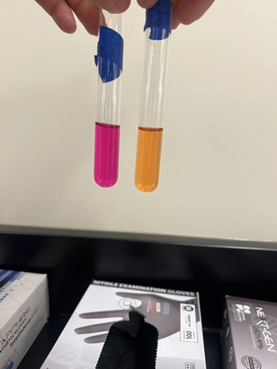 <p>Tests for organisms ability to use Urease enzyme to hydrolyze.</p><p>Positive test: Magenta broth</p>