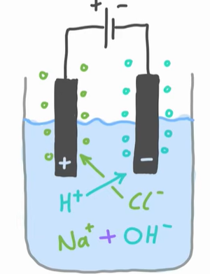 <p>What happens to halide ions (F<sup>-</sup>, Cl<sup>-</sup>, Br<sup>-</sup>) </p>