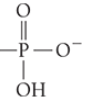 <p>What is the name of this functional group or linkage?</p>