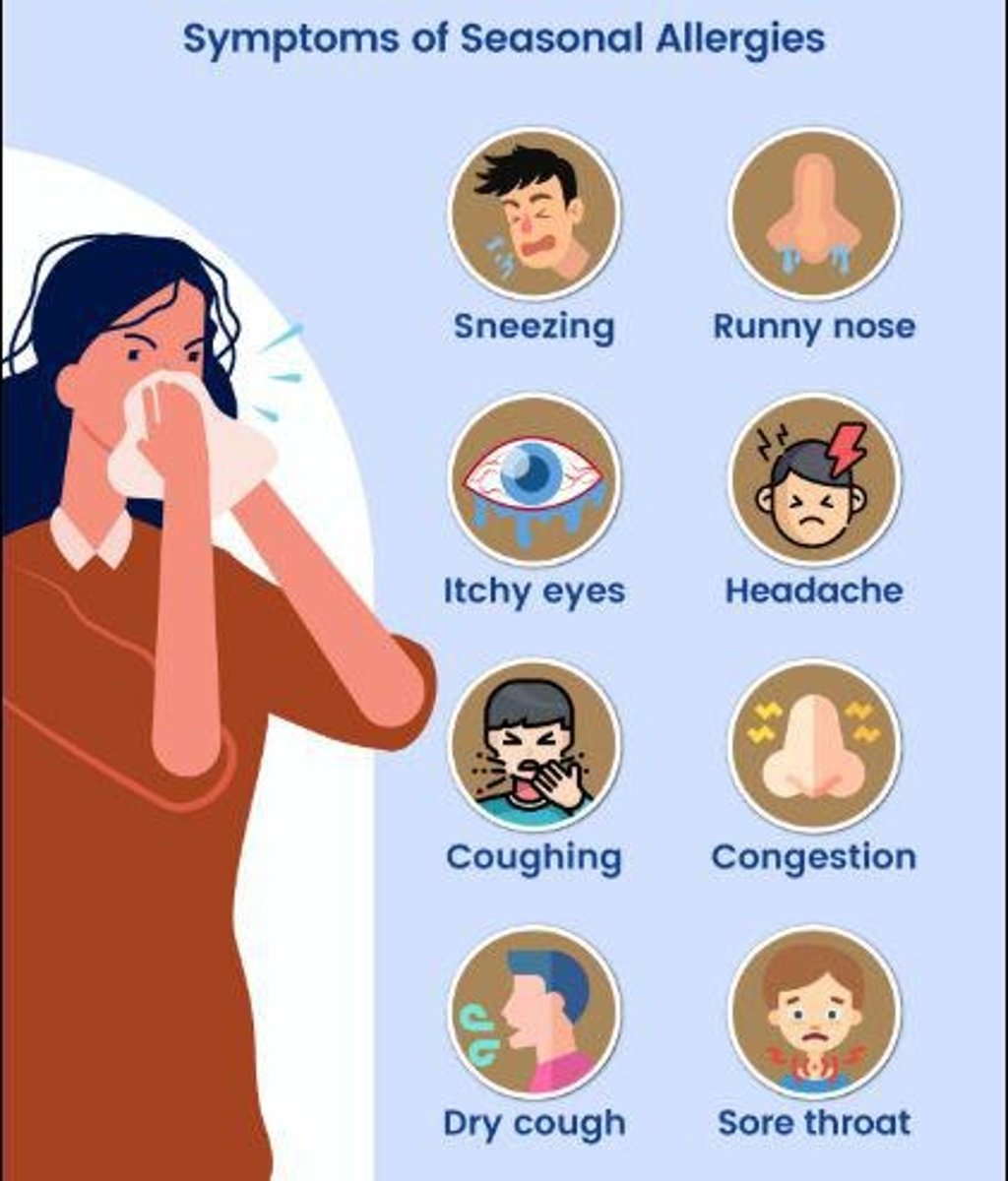 <p>Sneezing, rhinorrhea (runny nose), nasal pruritis (itching), and congestion</p>