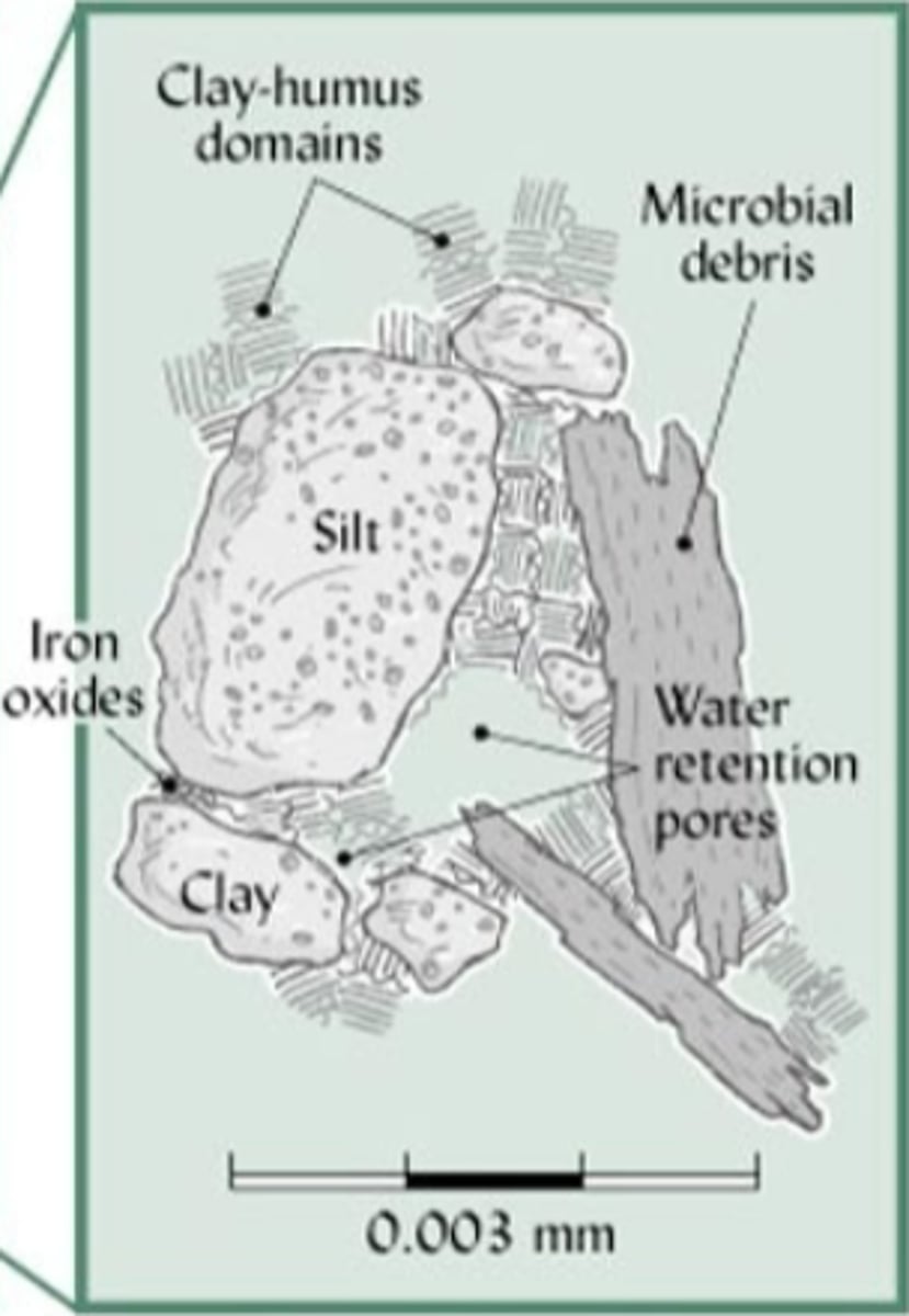 <p>0.003 mm diameter particles of silt, clay, and humus</p>