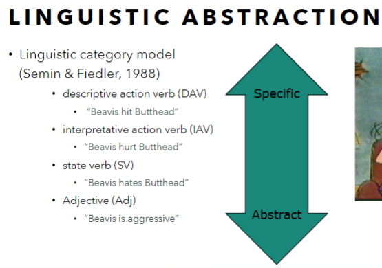 <ul><li><p>descriptive action verb (DAV)</p></li><li><p>interpretative action verb (IAV)</p></li><li><p>state verb (SV)</p></li><li><p>adjective (Adj)</p></li></ul>