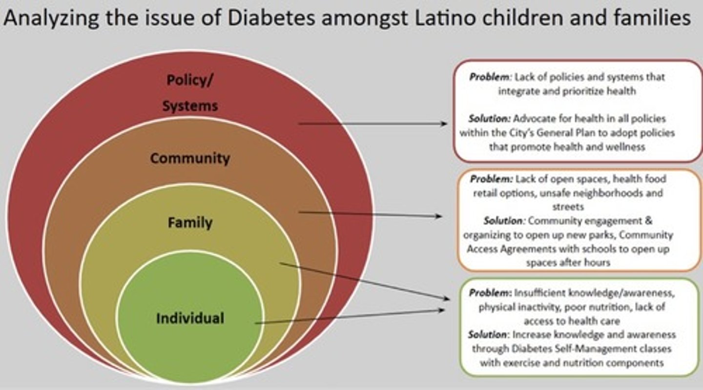 <p>What are the 4 levels of community advocacy?</p>